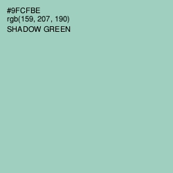 #9FCFBE - Shadow Green Color Image